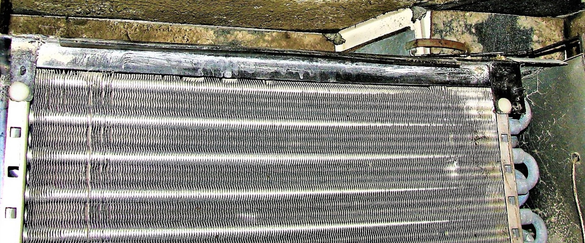 Can Air Filters Grow Mold? An Expert's Perspective
