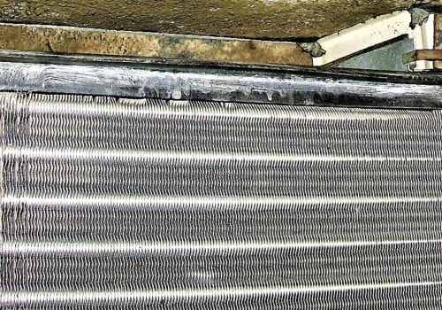 Can Air Filters Grow Mold? - An Expert's Perspective